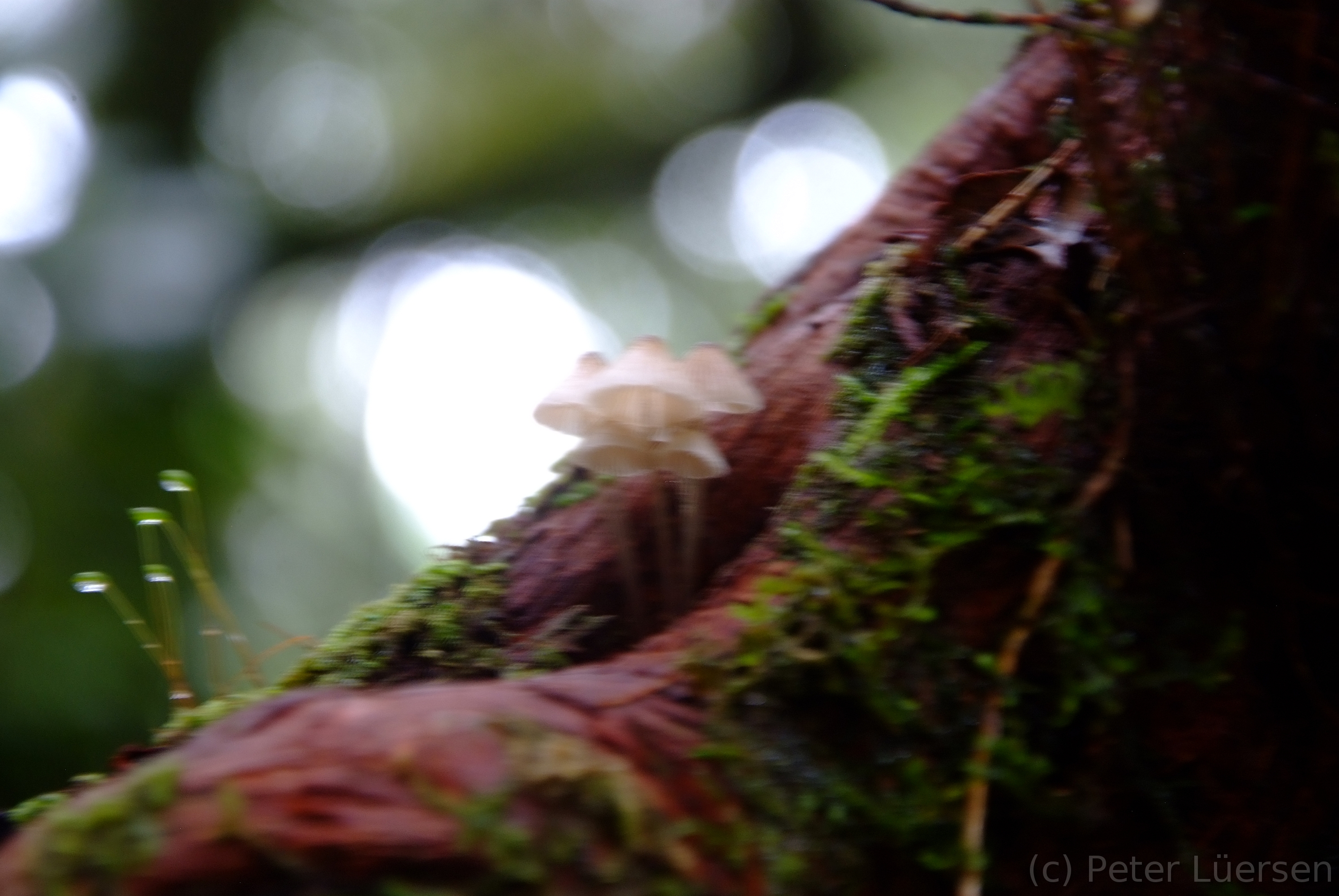 DSCF5305.JPG