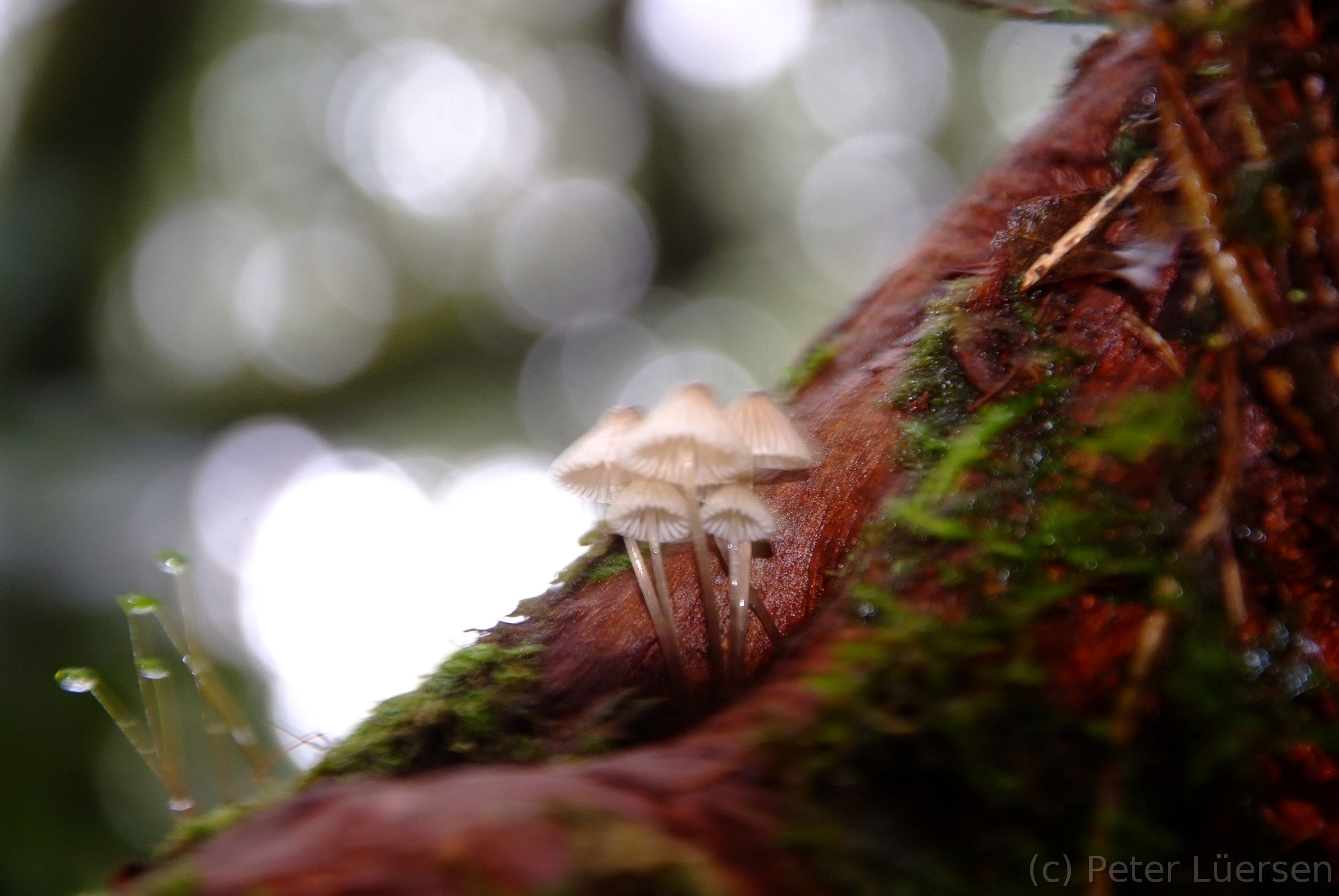 DSCF5306.JPG