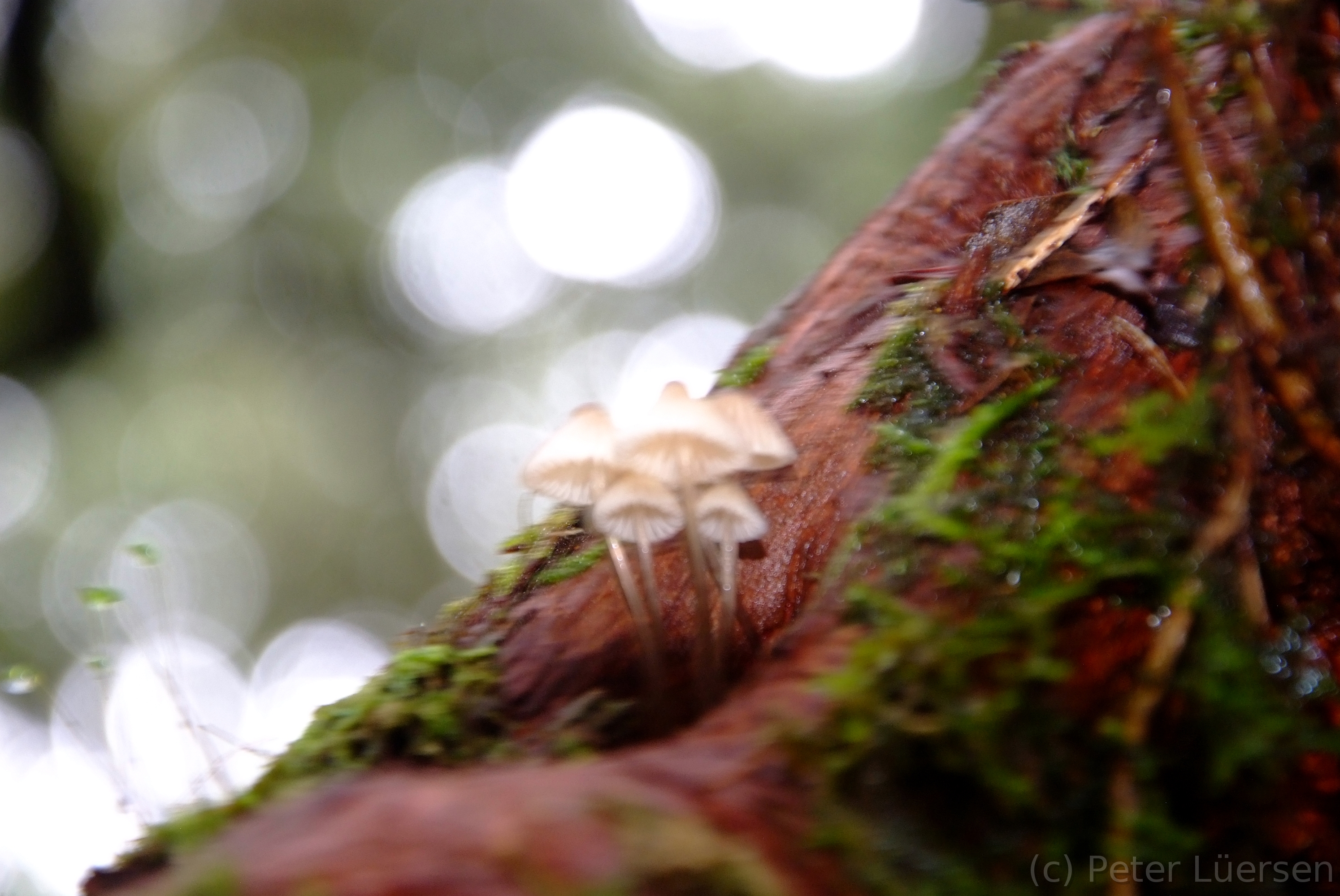 DSCF5307.JPG