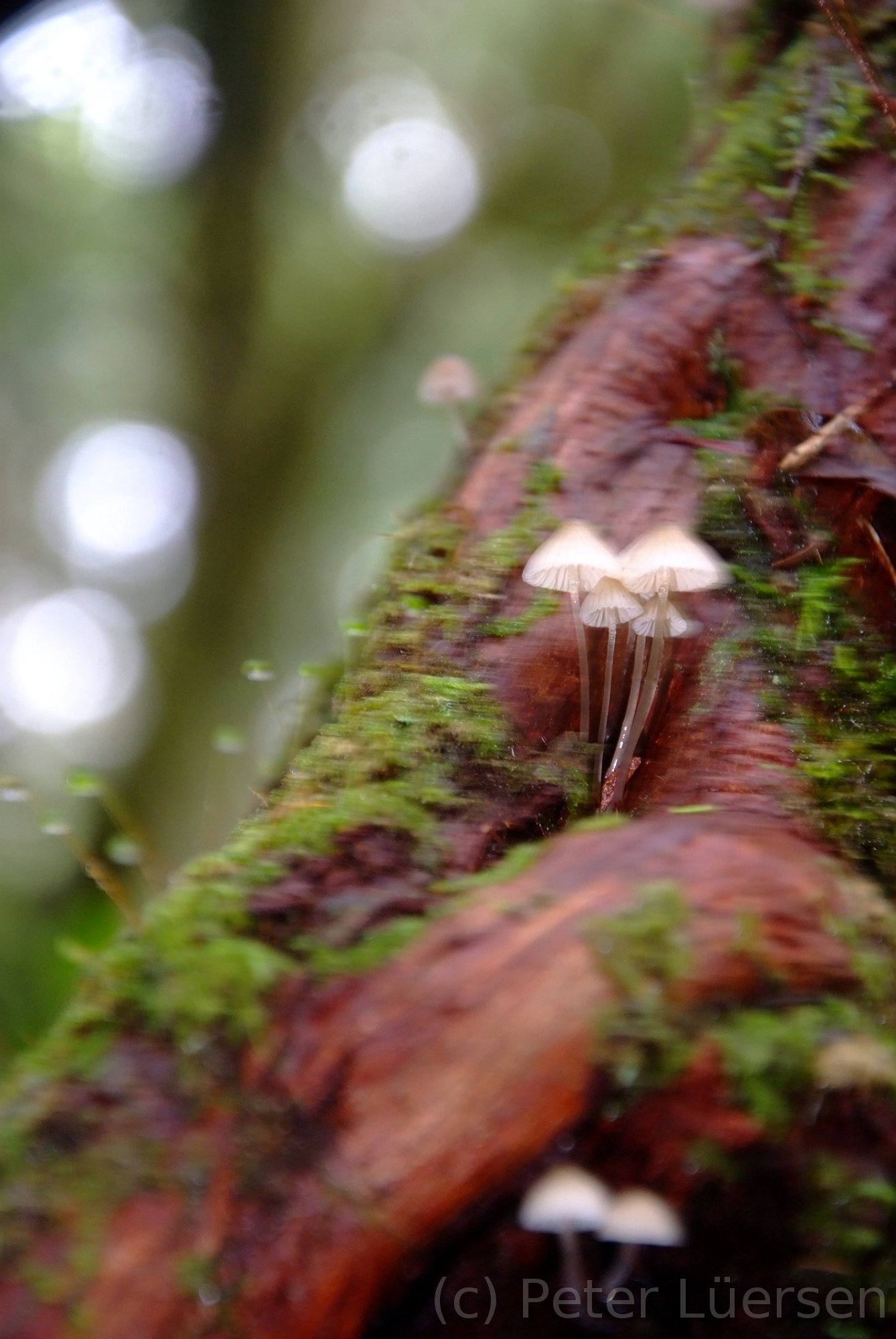 DSCF5308.JPG