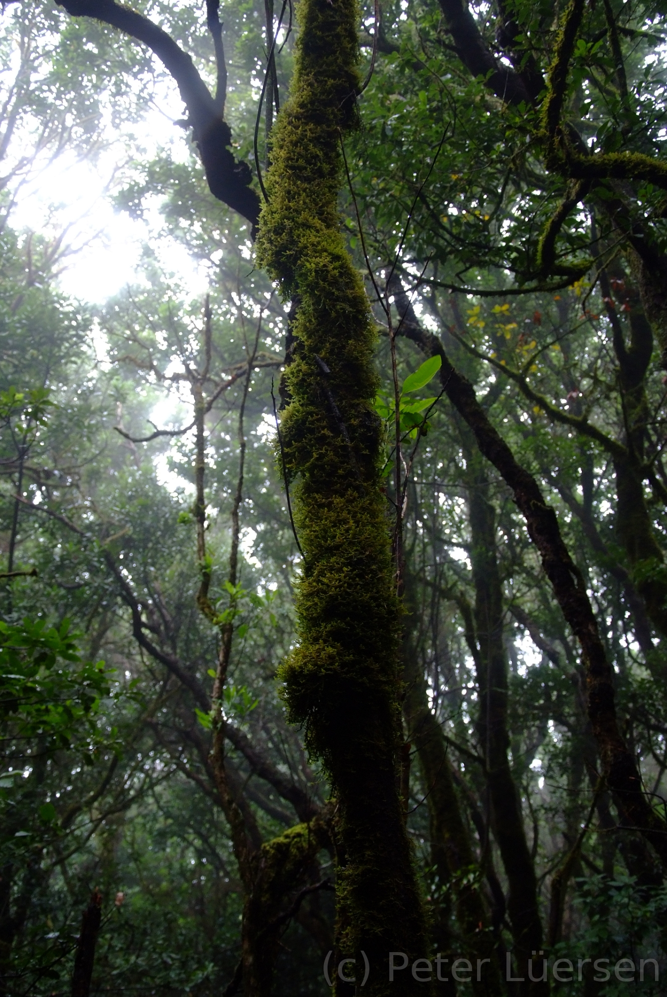 DSCF5310.JPG