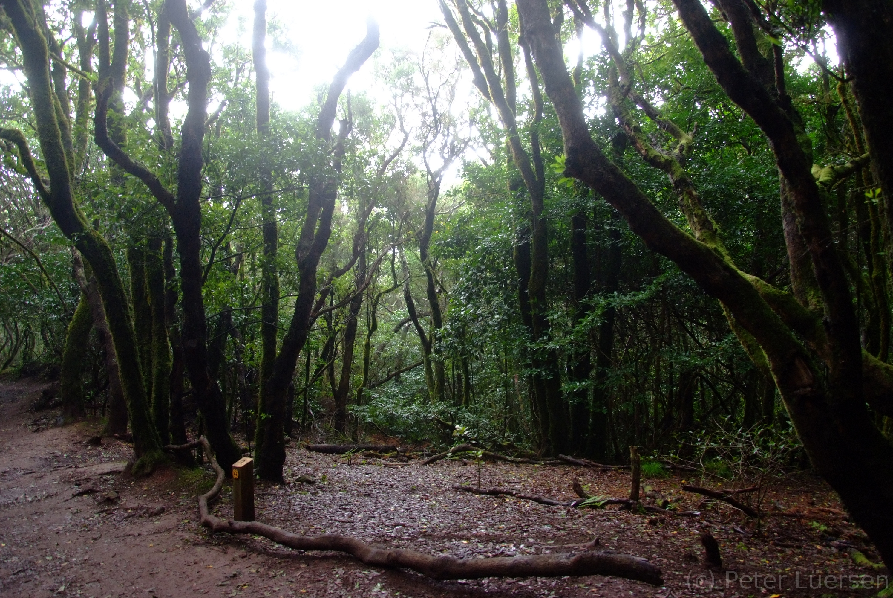 DSCF5313.JPG