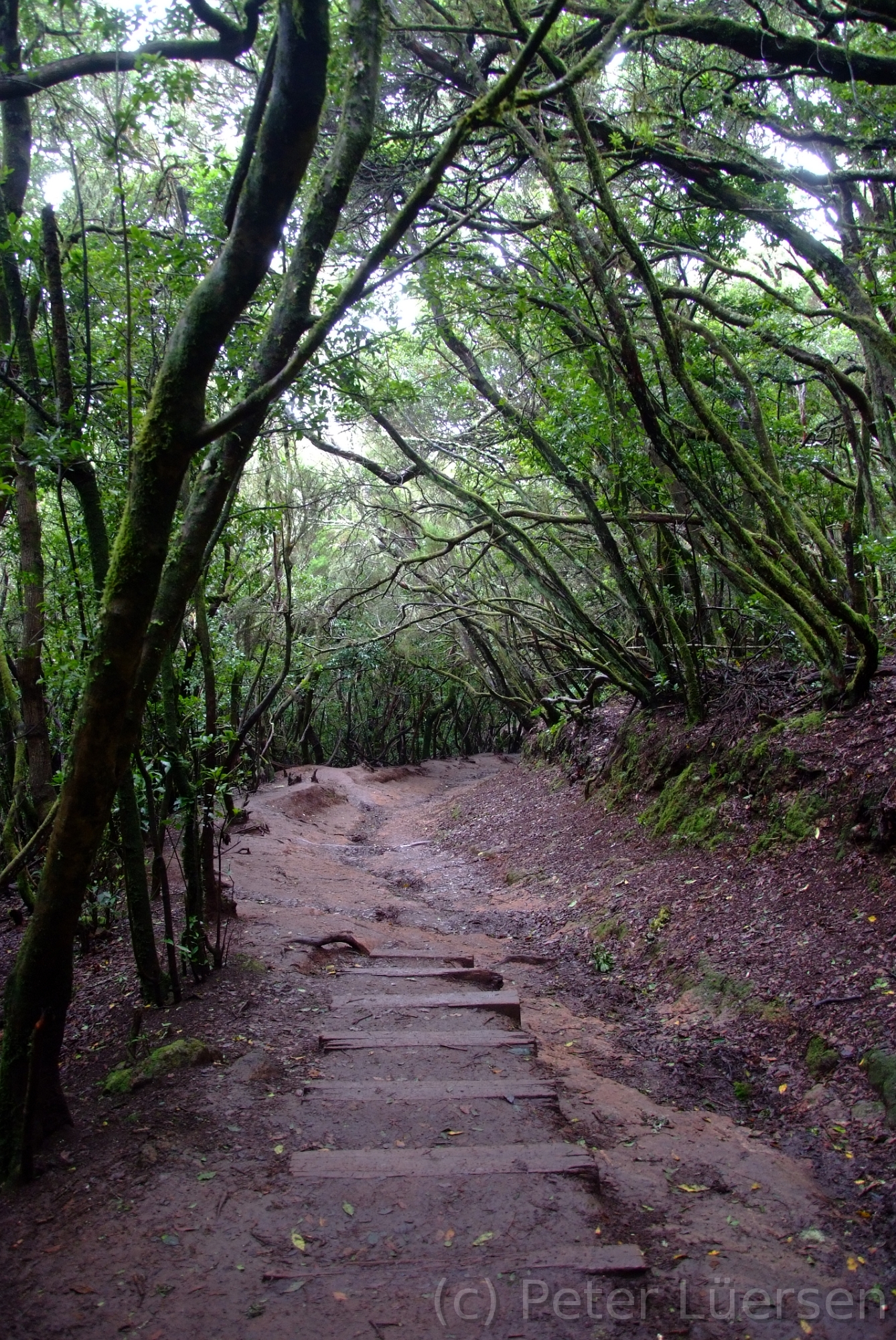 DSCF5314.JPG