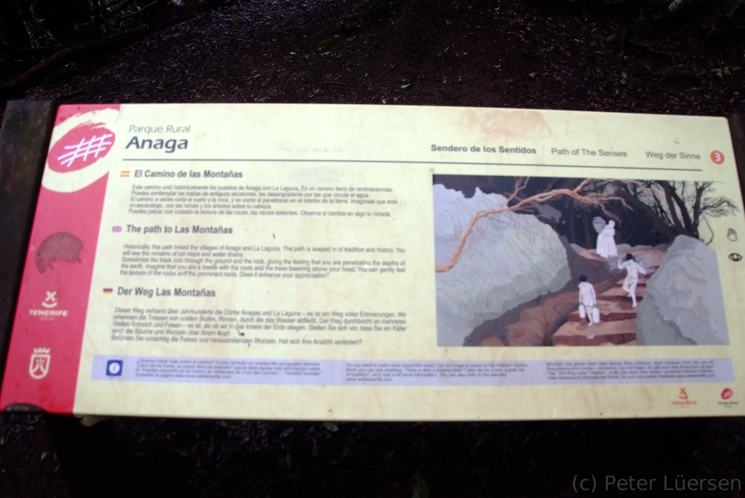DSCF5315.JPG