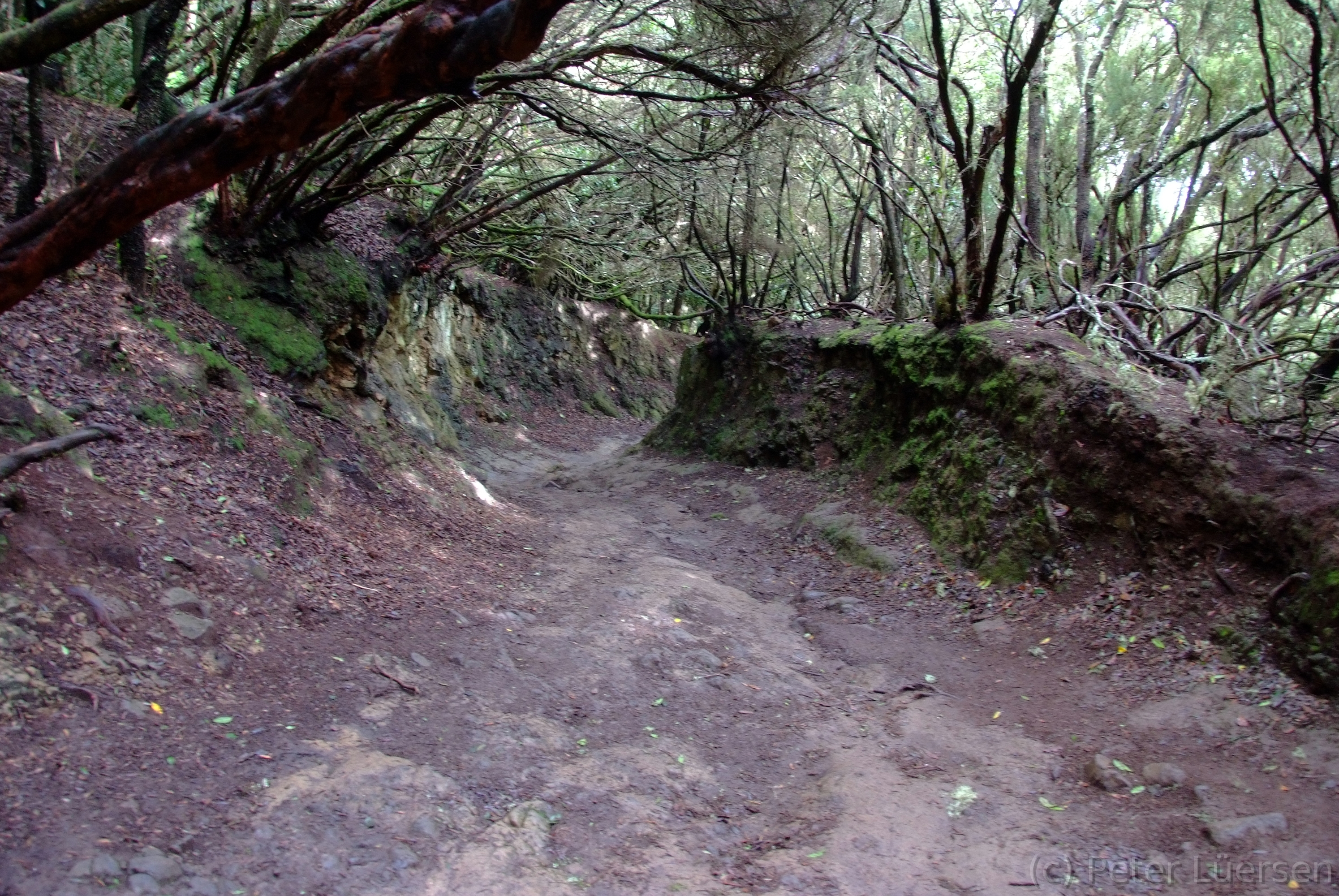 DSCF5317.JPG