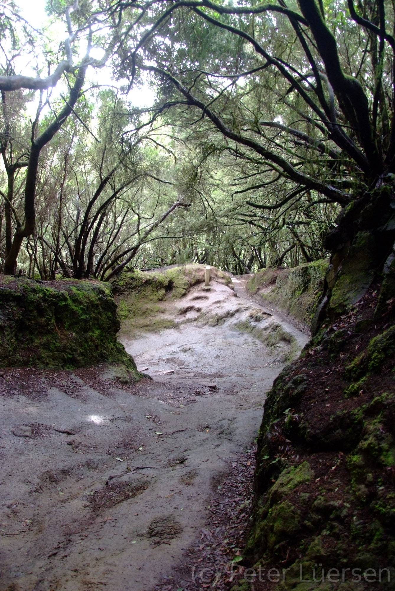 DSCF5318.JPG