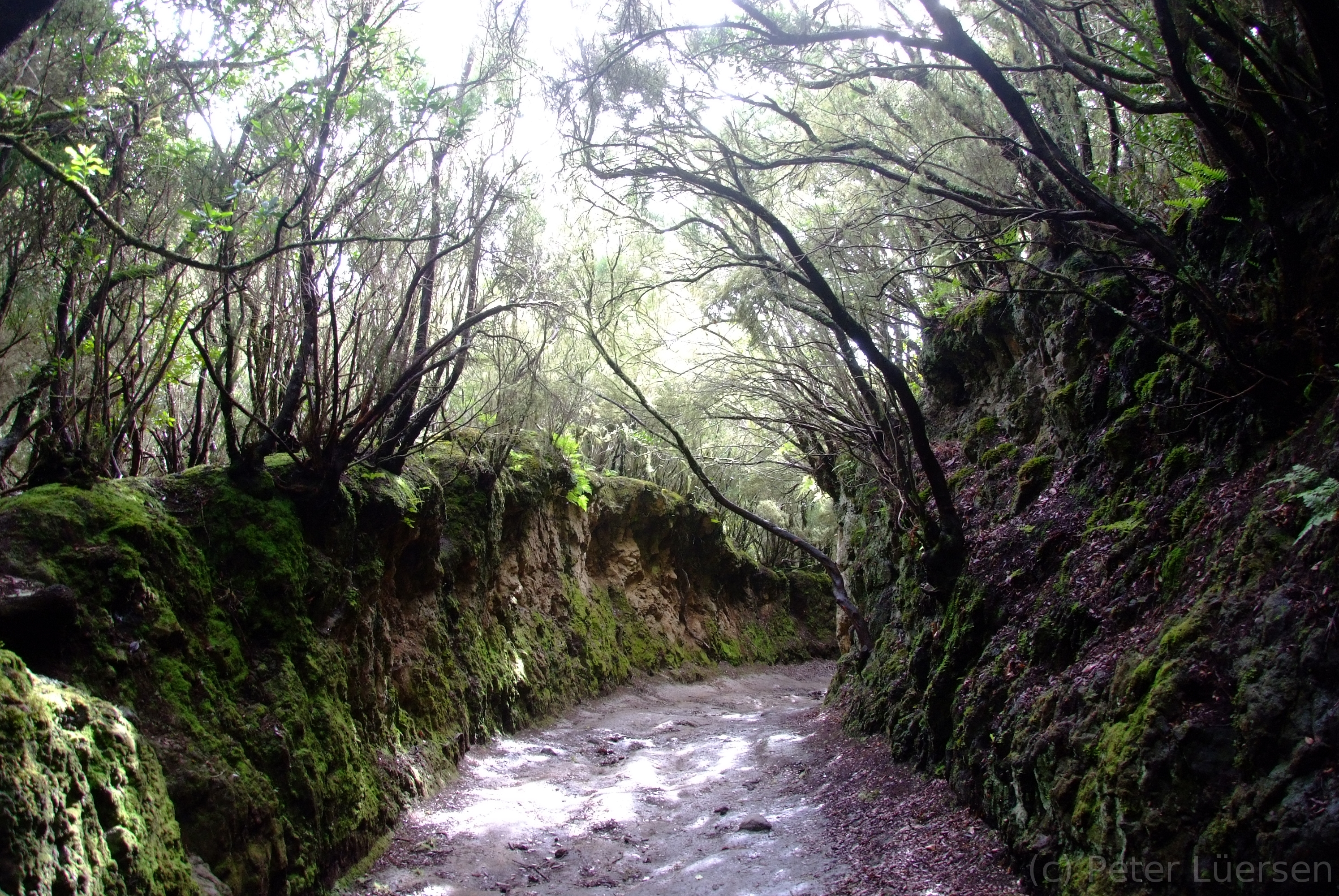 DSCF5319.JPG