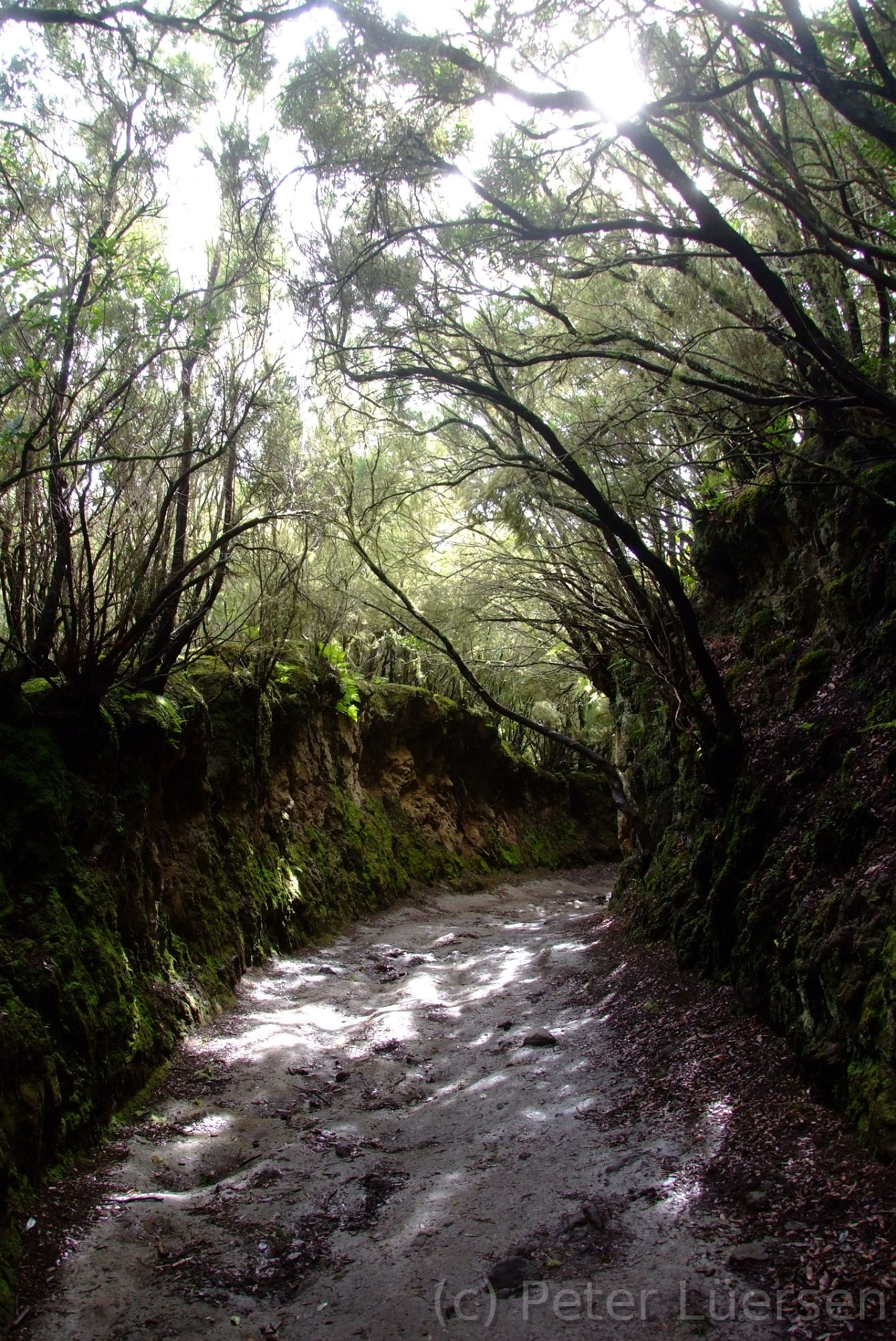 DSCF5320.JPG