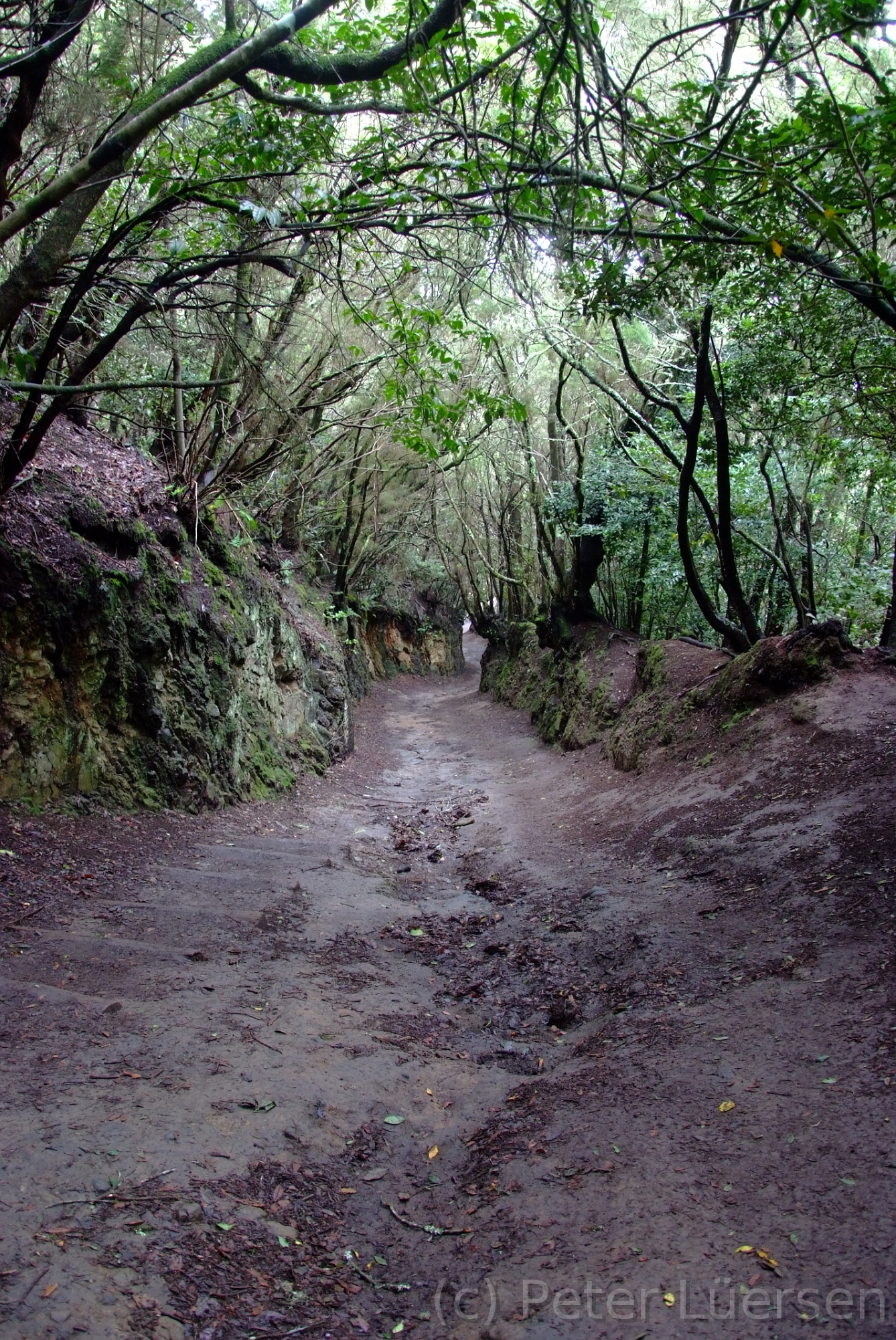 DSCF5321.JPG
