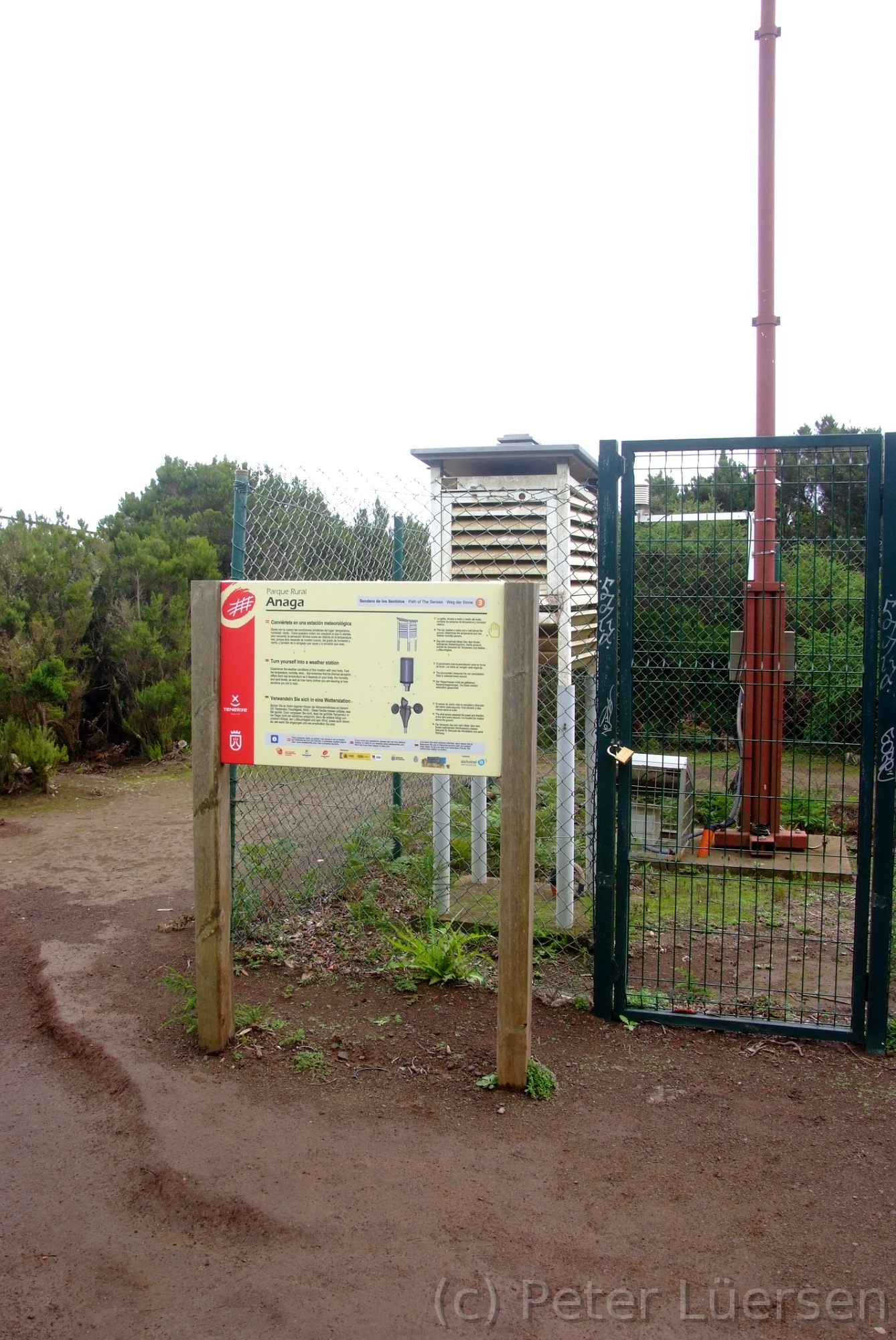 DSCF5323.JPG
