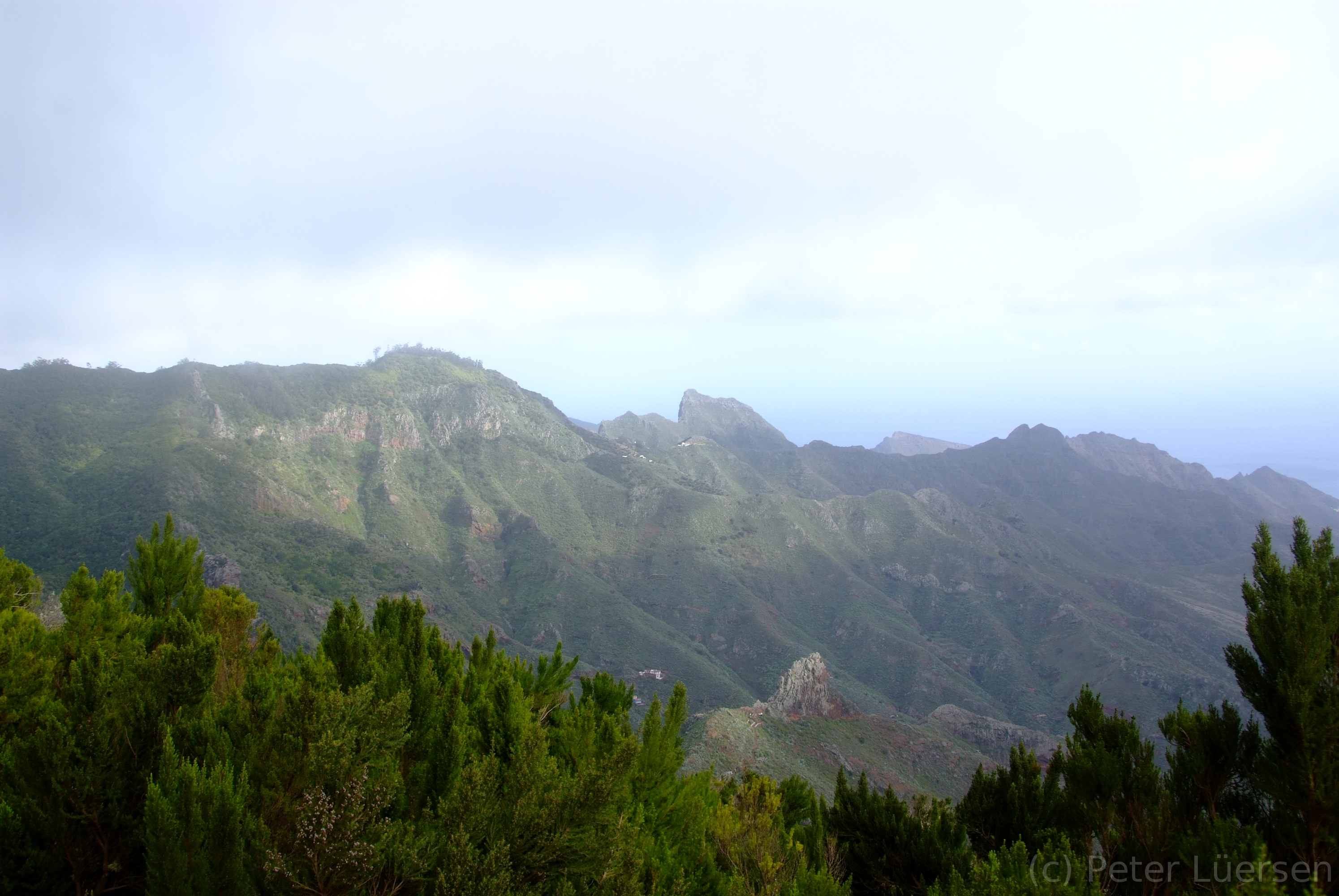 DSCF5324.JPG