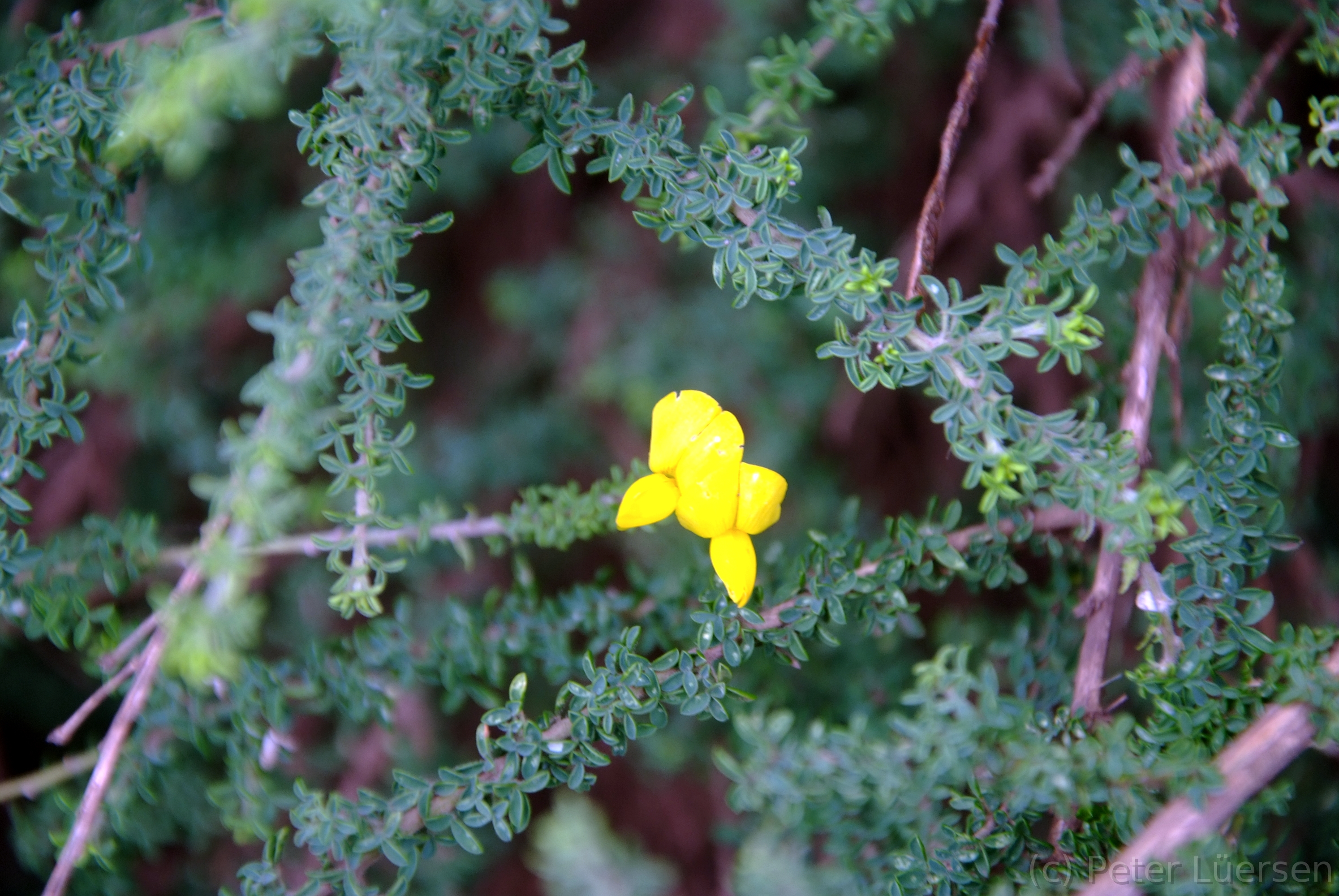 DSCF5328.JPG