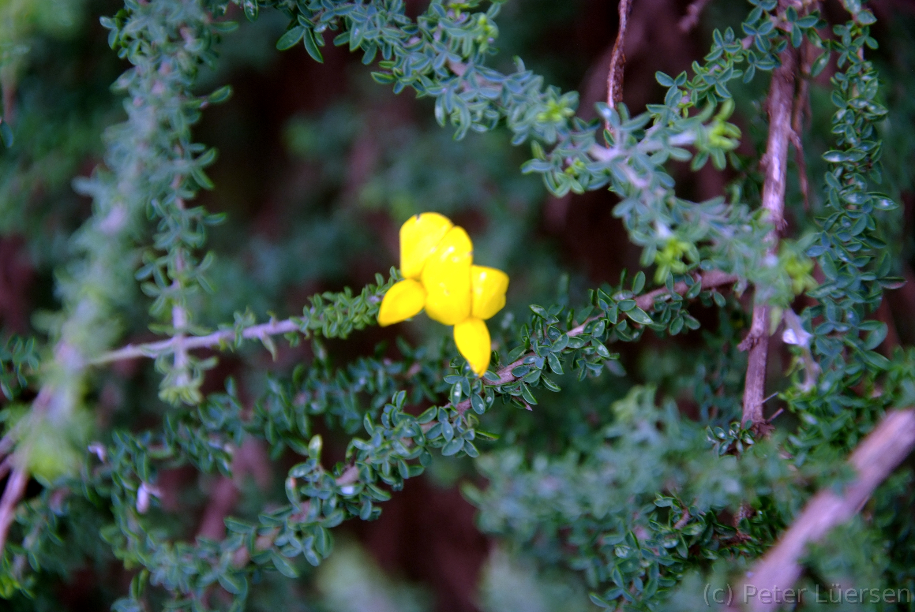 DSCF5329.JPG