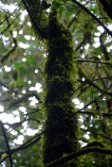 DSCF5309