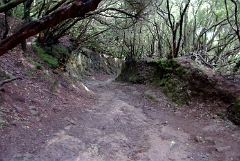 DSCF5317
