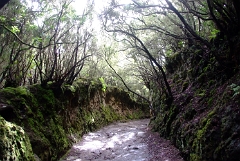 DSCF5319