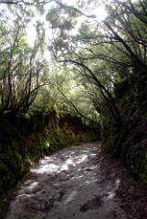 DSCF5320