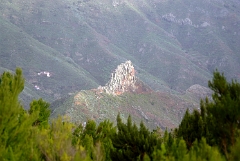 DSCF5325