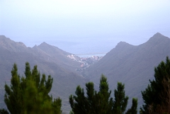 DSCF5326