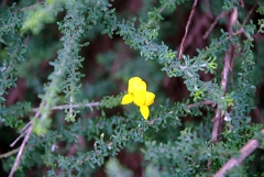 DSCF5328