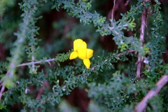 DSCF5329