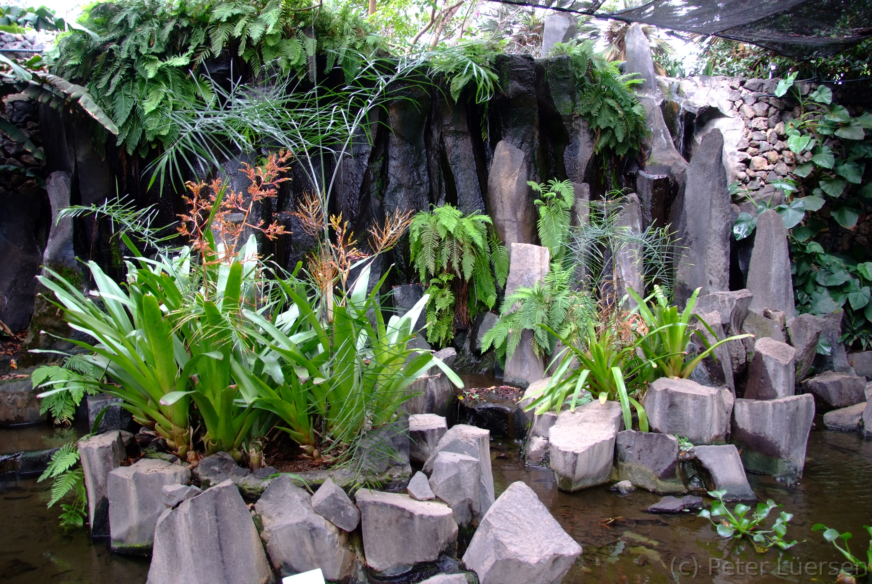 DSCF5428.JPG