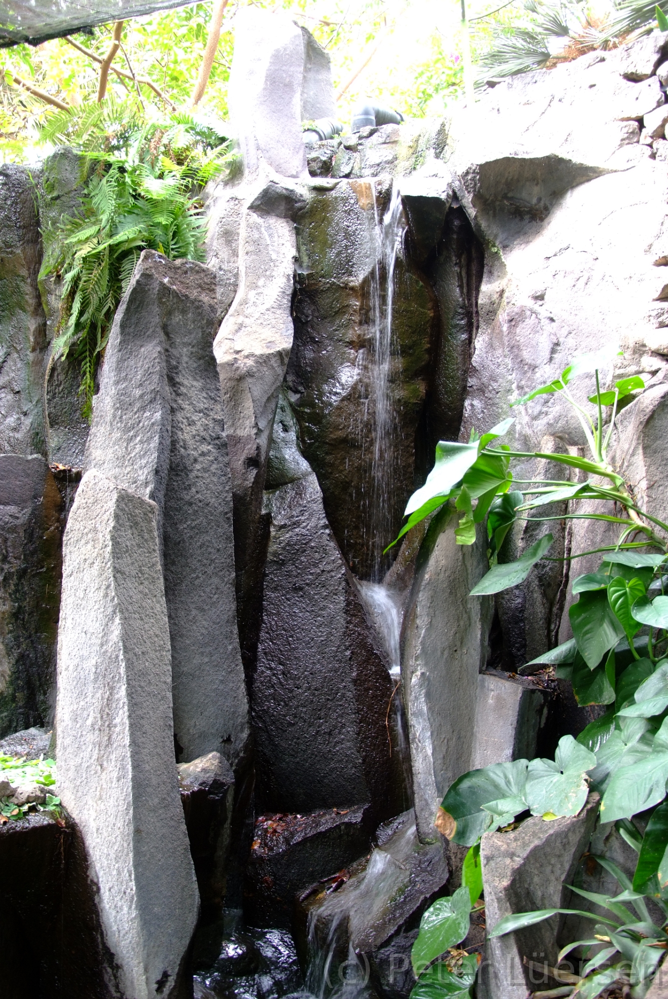 DSCF5429.JPG