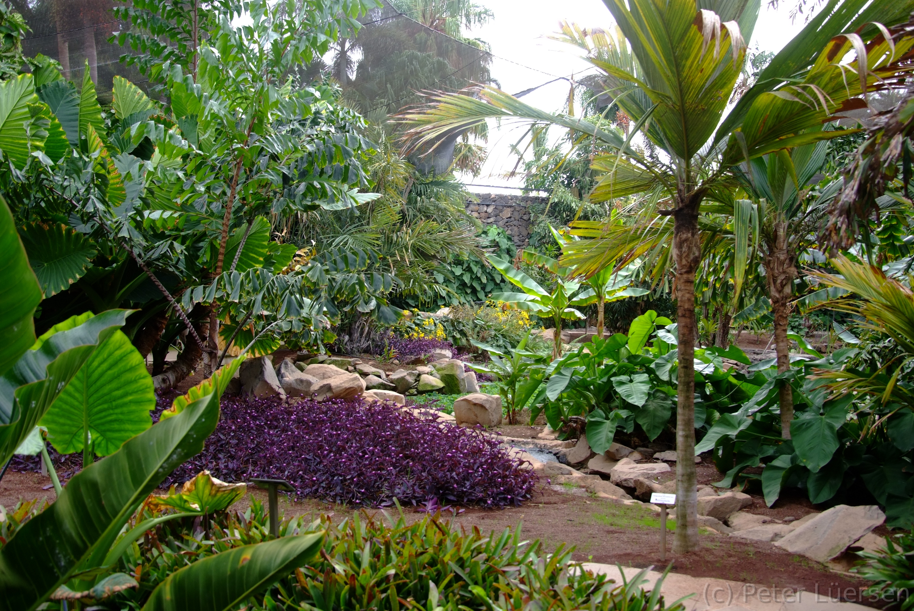 DSCF5435.JPG