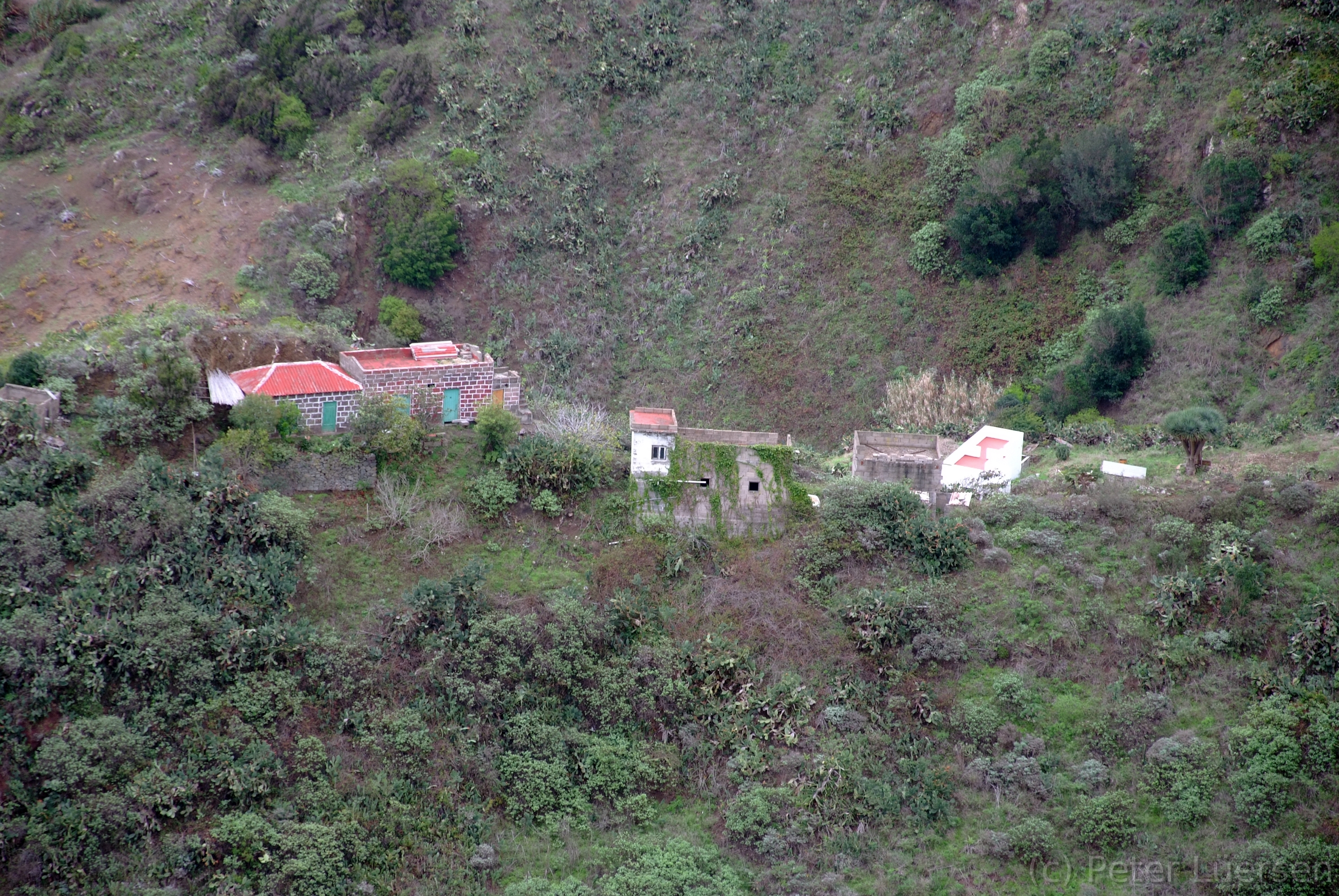 DSCF5461.JPG