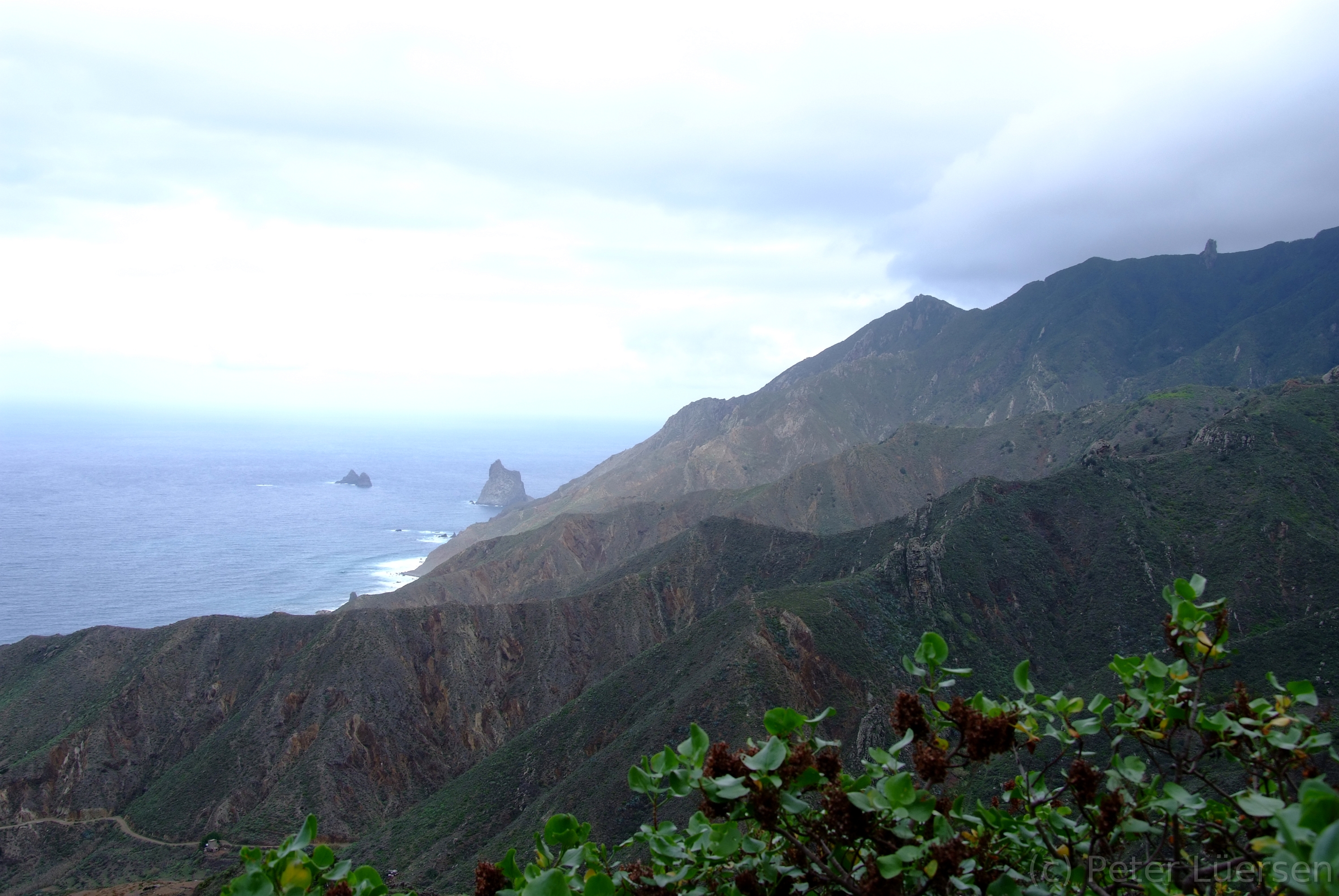 DSCF5463.JPG