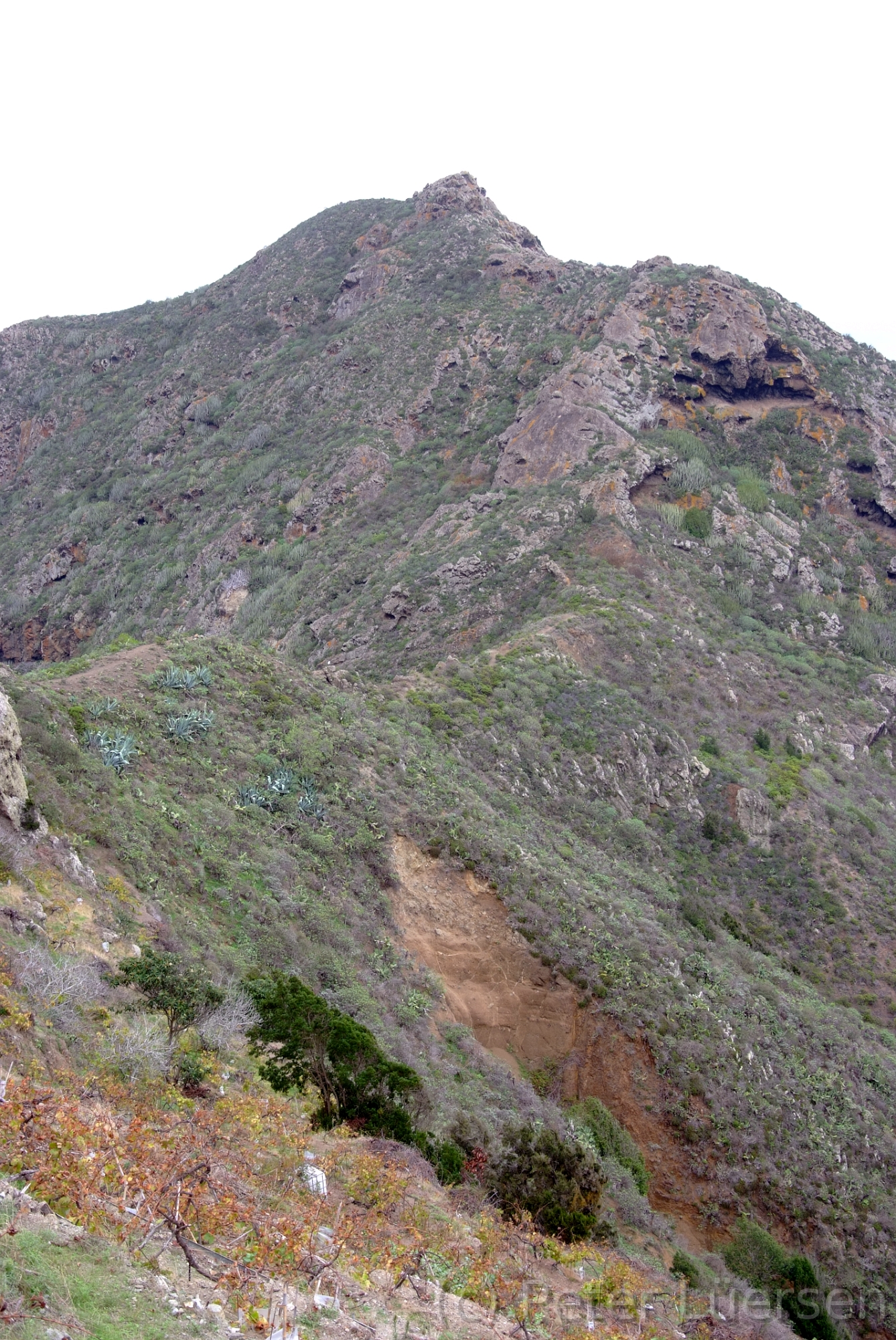 DSCF5466.JPG
