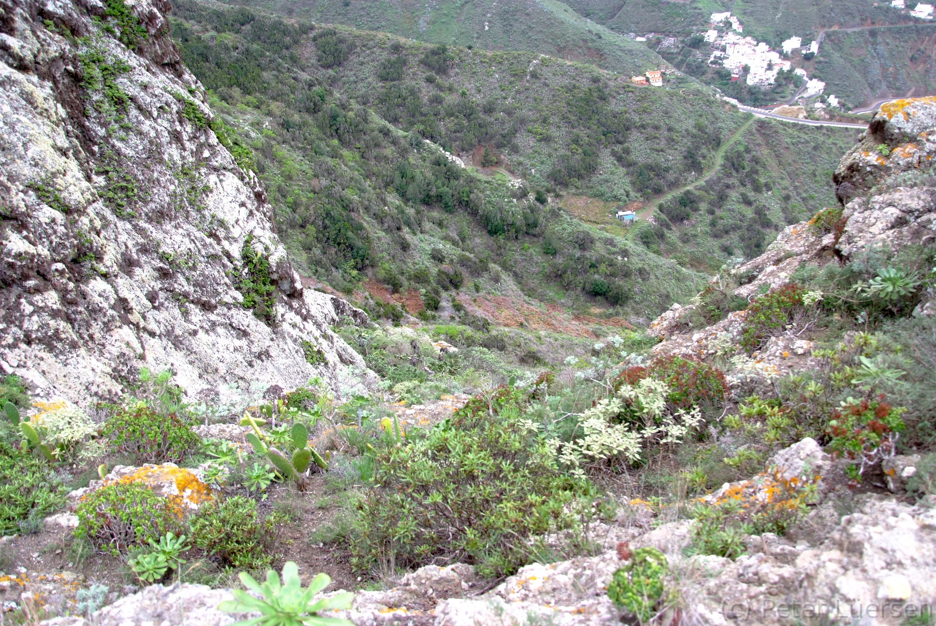 DSCF5471.JPG