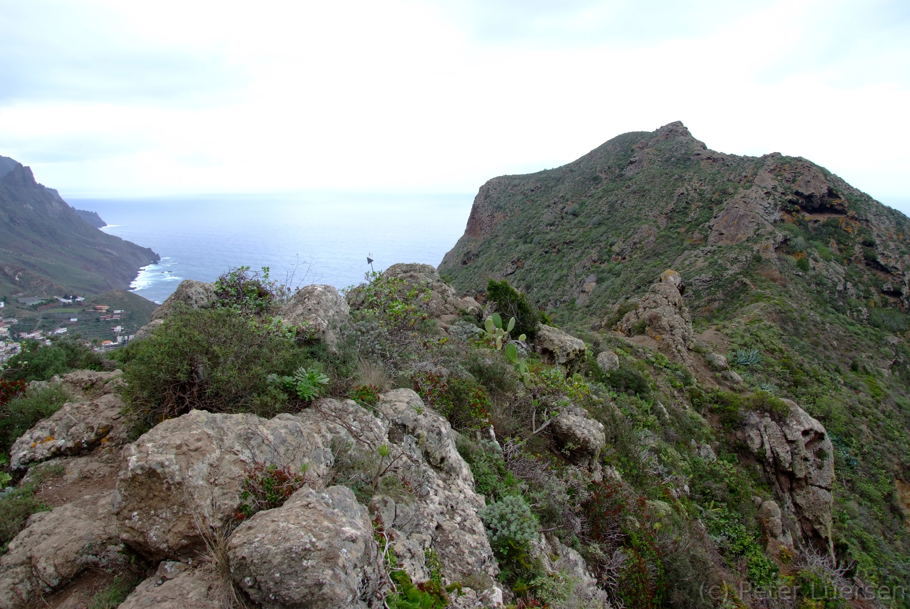 DSCF5473.JPG