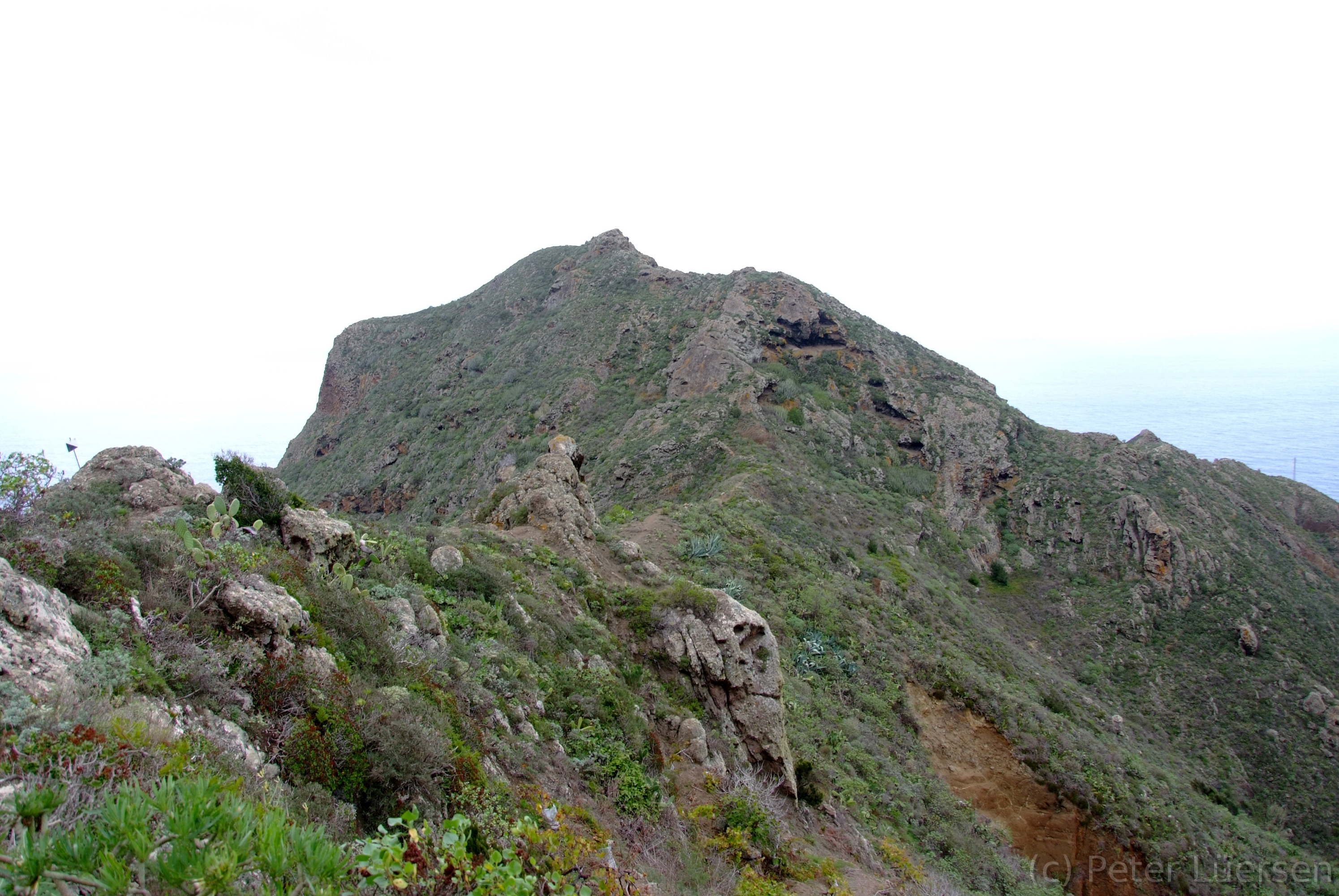 DSCF5474.JPG