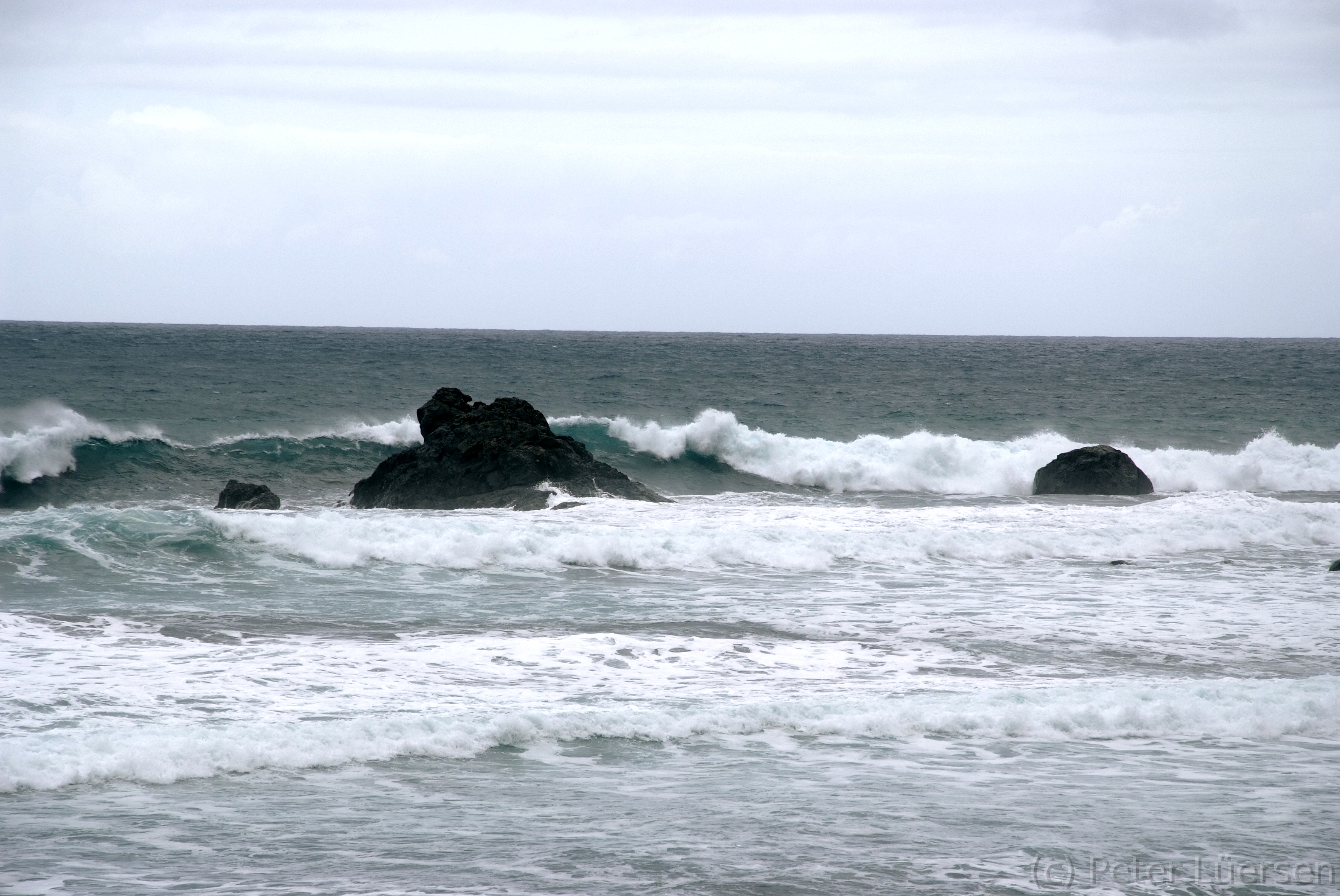 DSCF5478.JPG