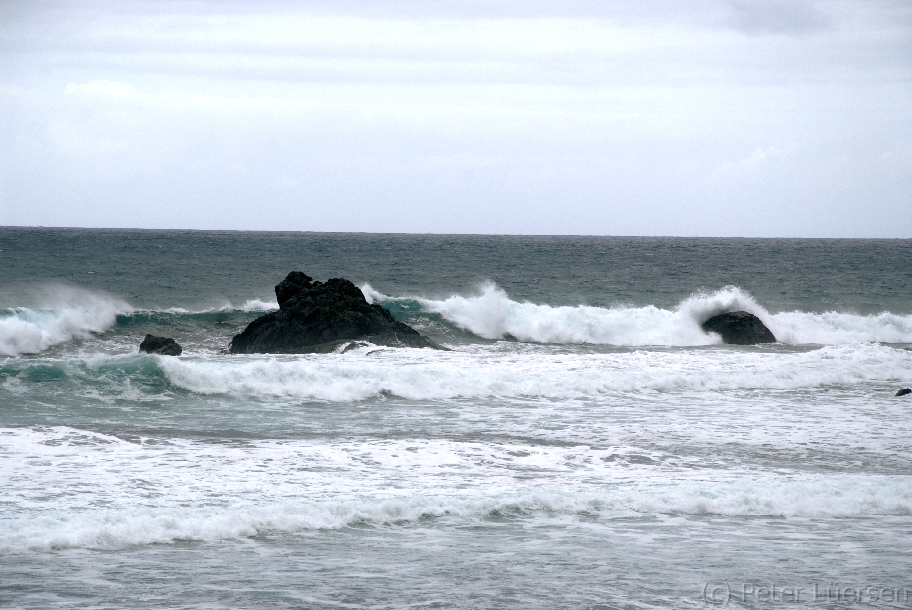 DSCF5479.JPG