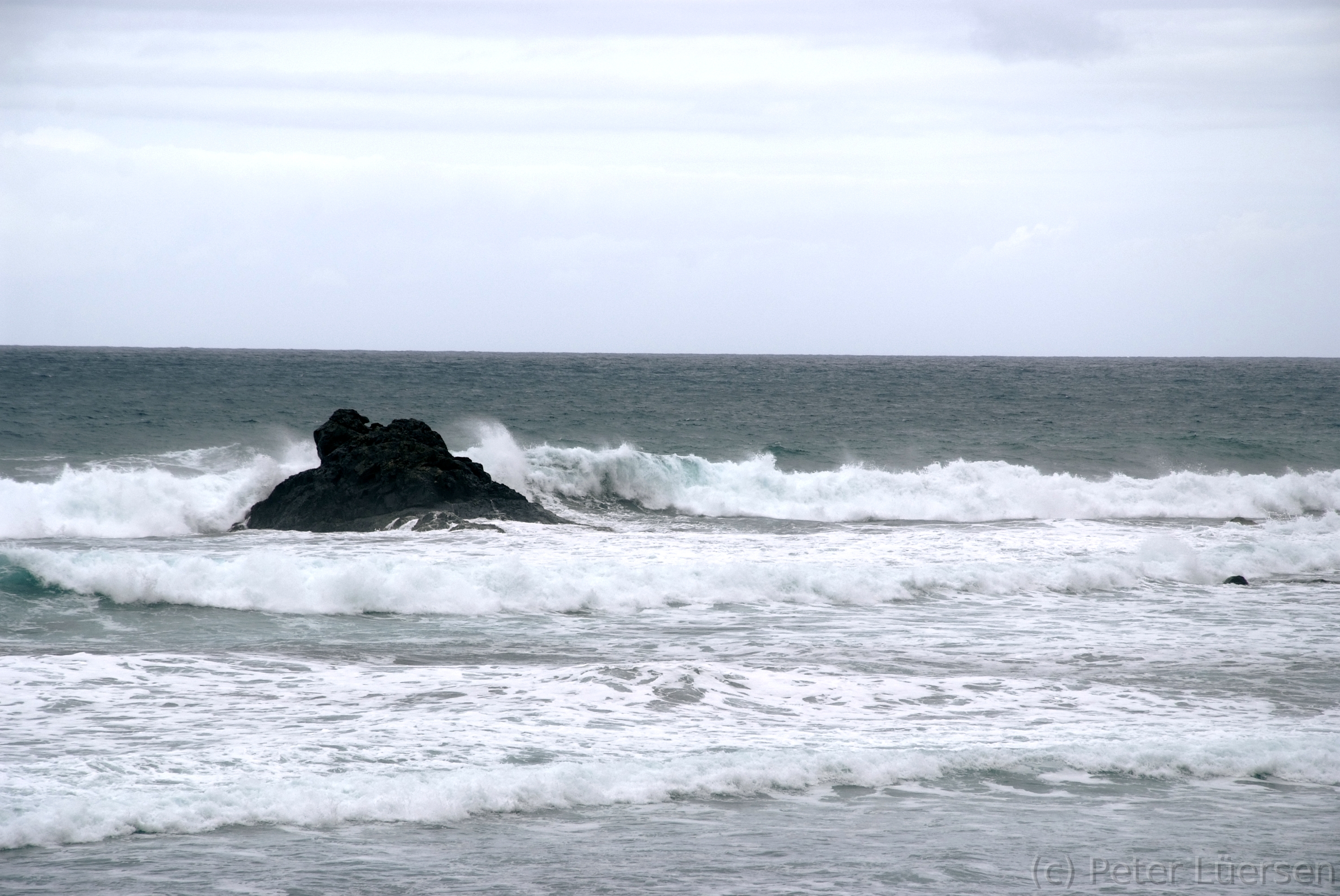 DSCF5482.JPG
