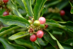 DSCF5390