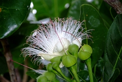 DSCF5393