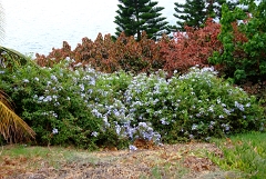 DSCF5394