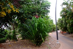 DSCF5400