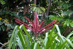 DSCF5401