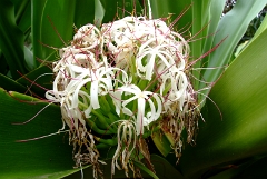 DSCF5406