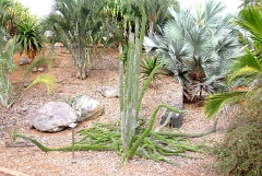 DSCF5409