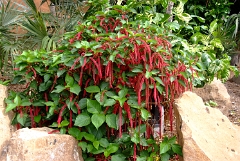 DSCF5410