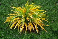 DSCF5418