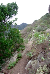 DSCF5475