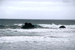 DSCF5476