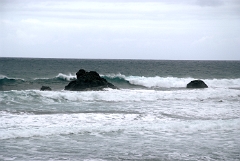 DSCF5477
