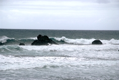 DSCF5478